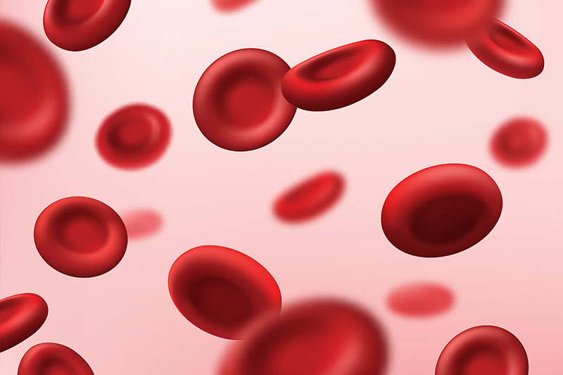 당화혈색소(HbA1c)