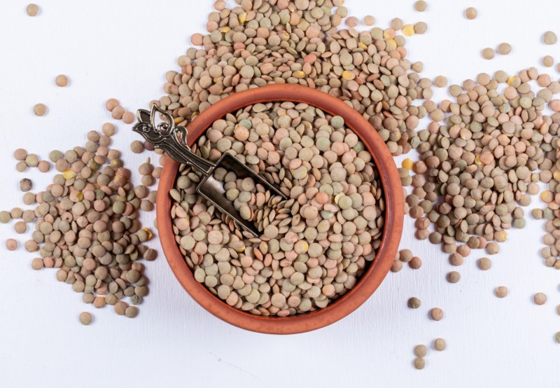 lentil bean