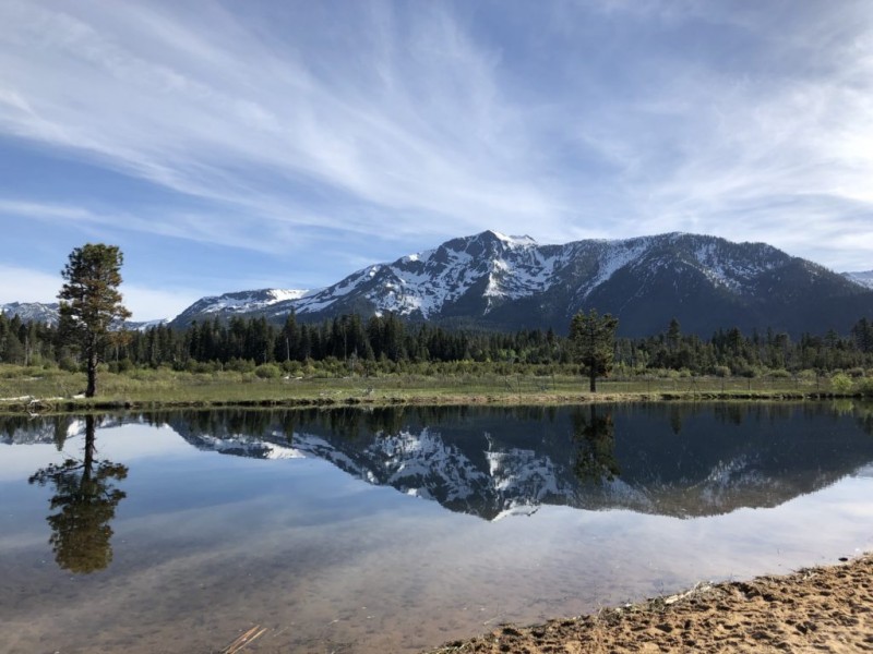 Taylor Creek